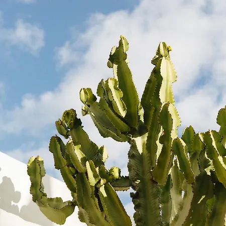 Casa Jable Anne Βίλα Costa Adeje (Tenerife)